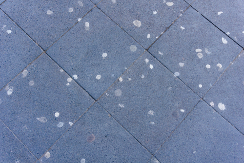 A dark blue brick or tile surface is covered with white spots of dried gum or stains that need cleaning.RetryClaude can make mistakes. Please double-check responses.