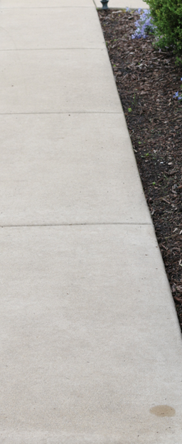 A clean concrete sidewalk runs alongside a landscaped area with dark mulch and green plants.RetryClaude can make mistakes. Please double-check responses.